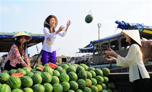 Le marché flottant de Cai Rang 